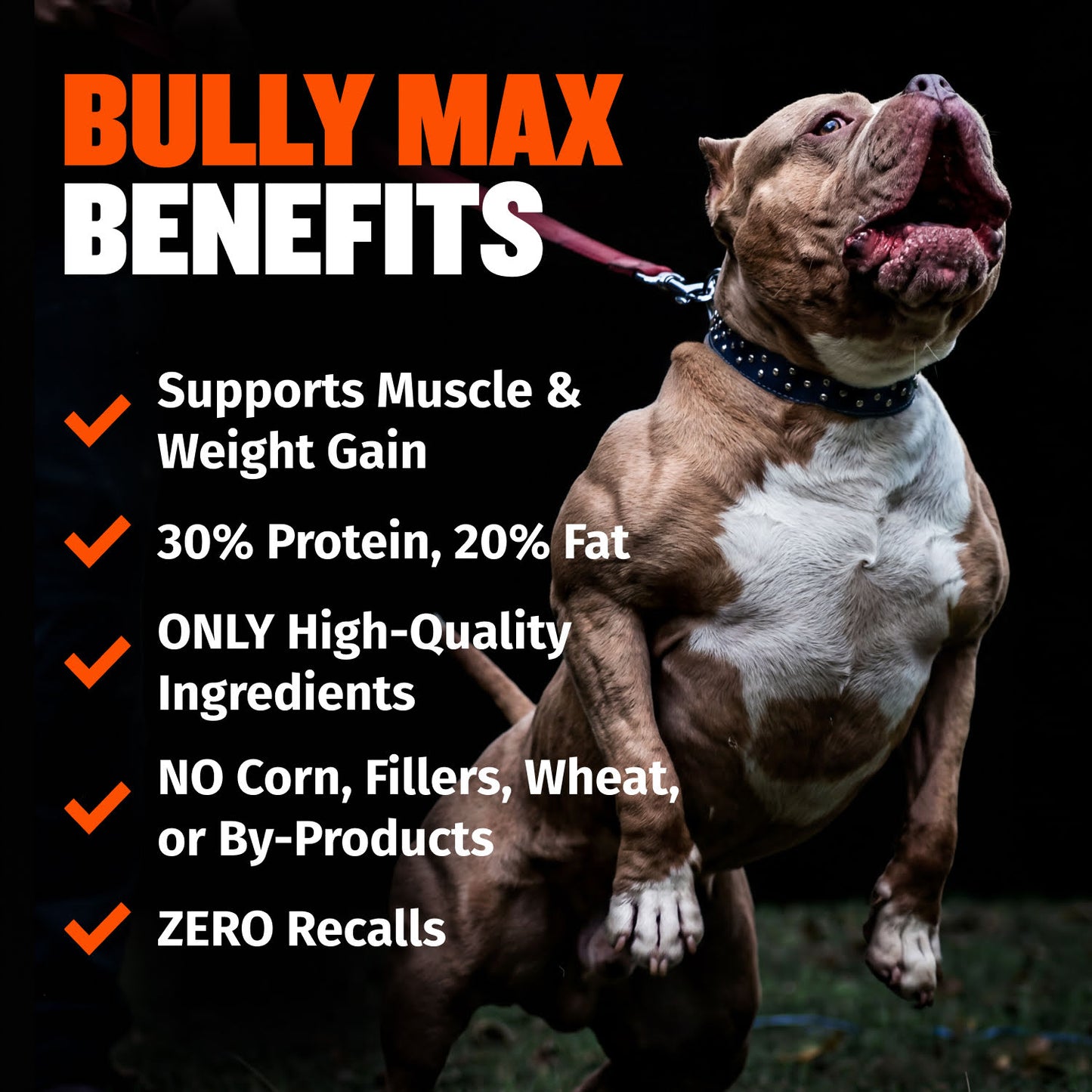 Bully Max 30/20 High Protein Chicken Dog Food