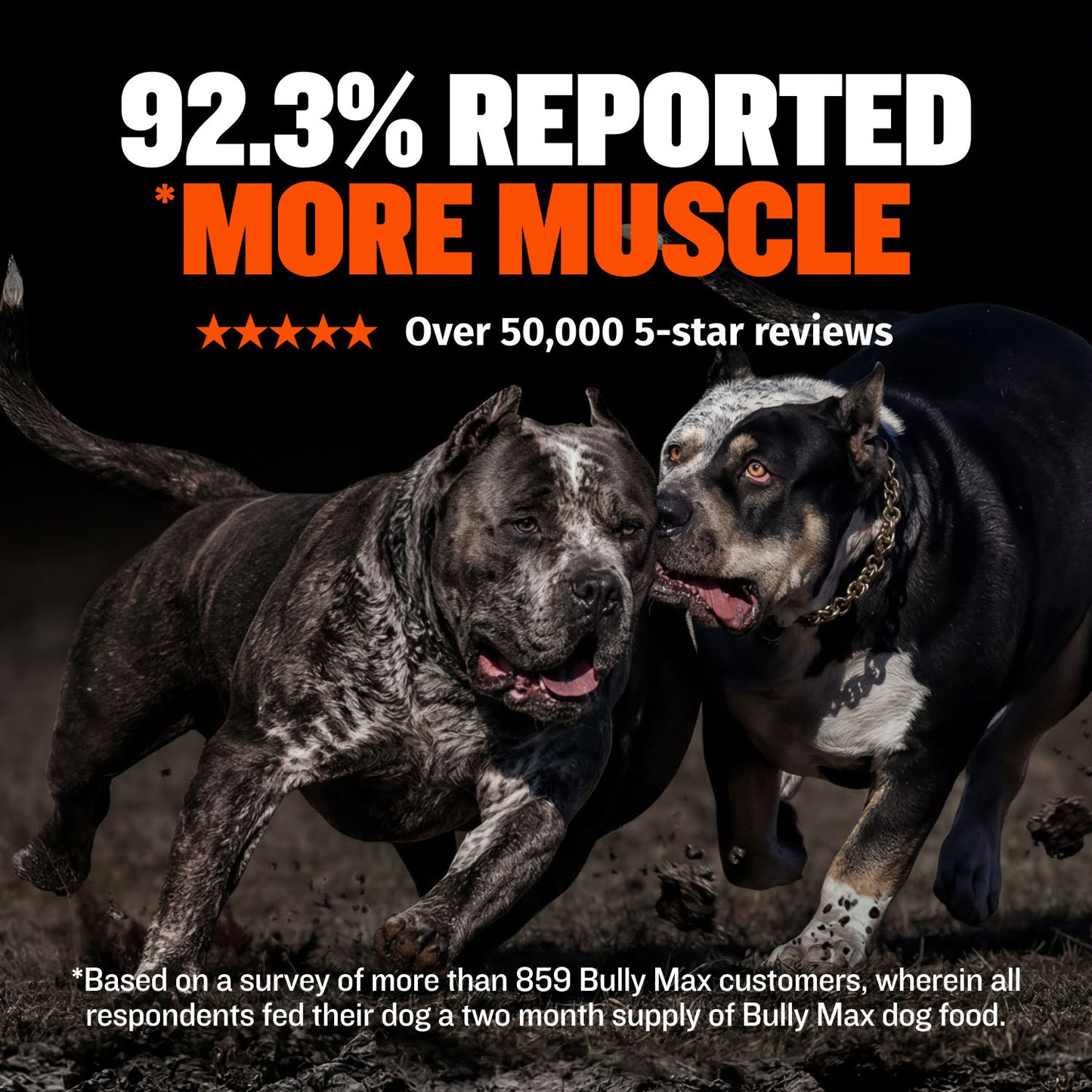 Bully Max 30/20 High Protein Chicken Dog Food