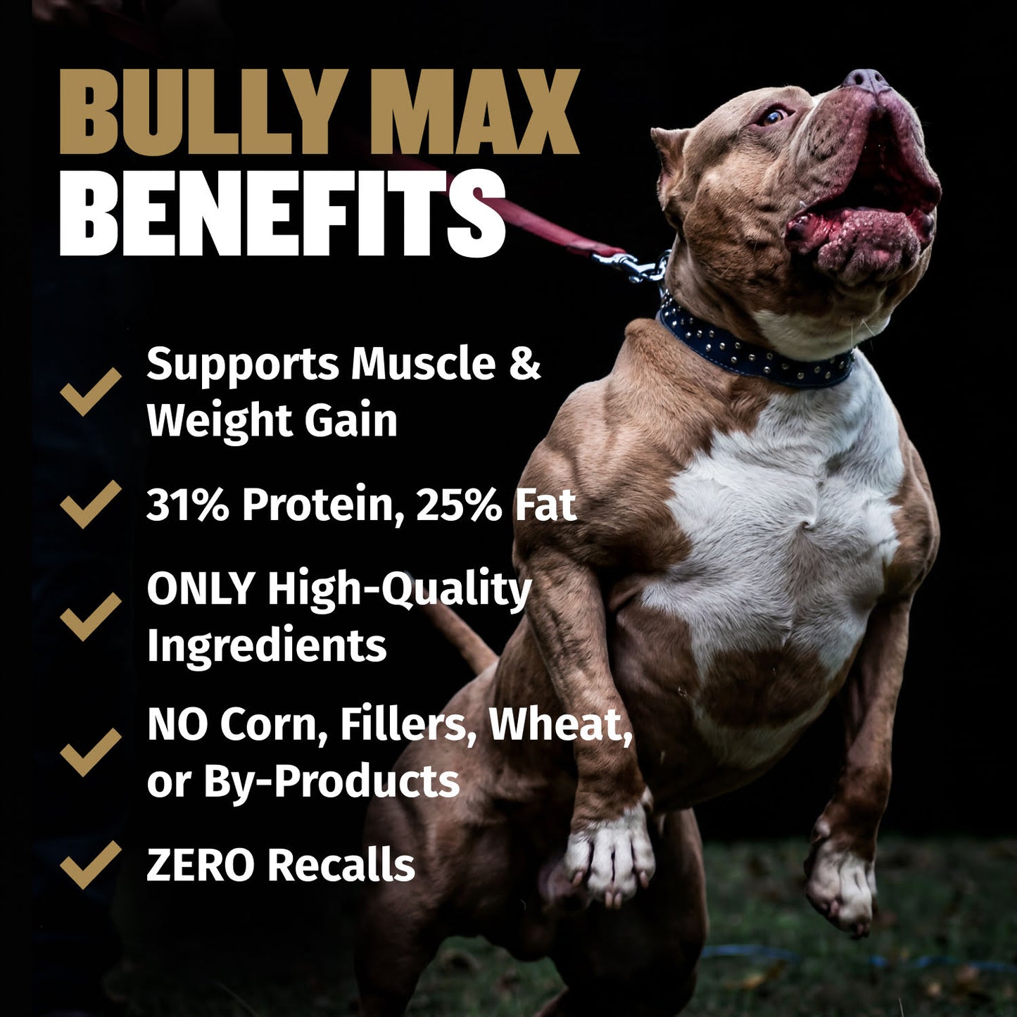 Bully Max PRO Series 31/25 High Calorie Dog Food