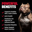 Bully Max Vitality Chews for Allergies, Joints, & Daily Vitamins