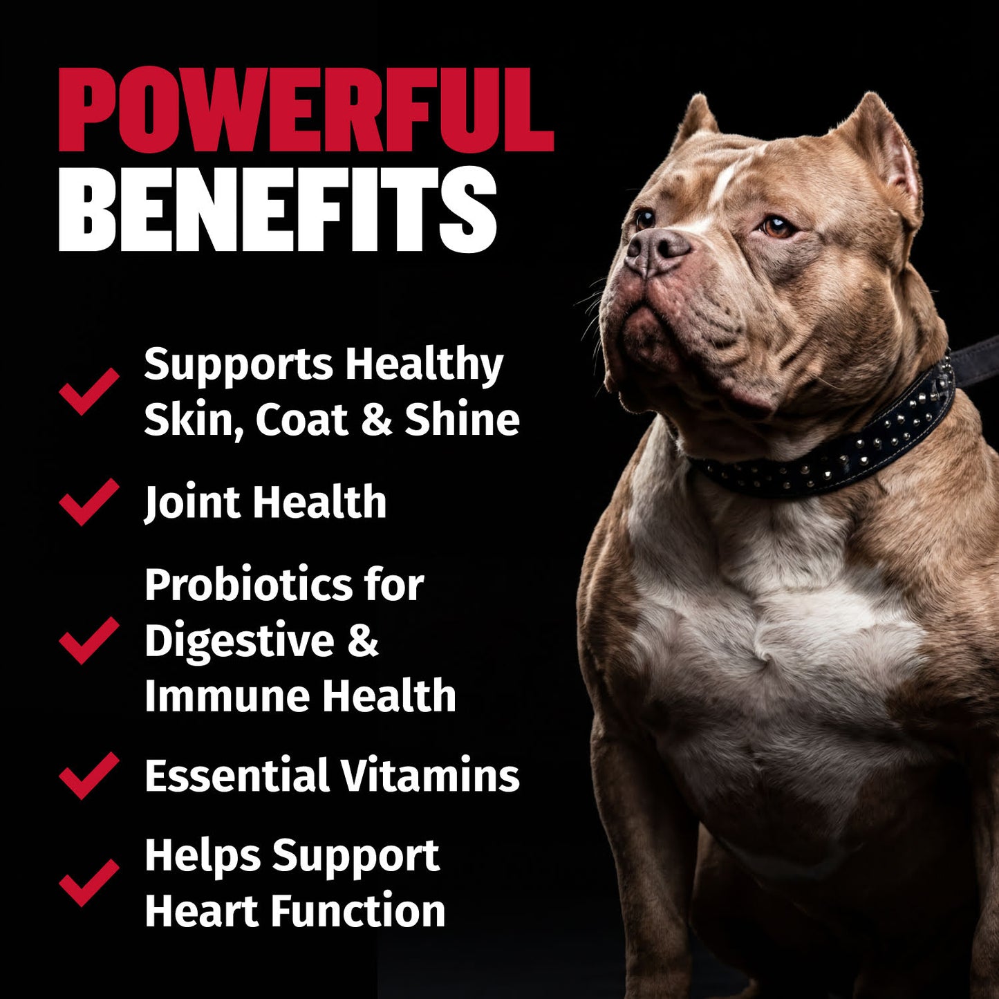 Bully Max Vitality Chews for Allergies, Joints, & Daily Vitamins