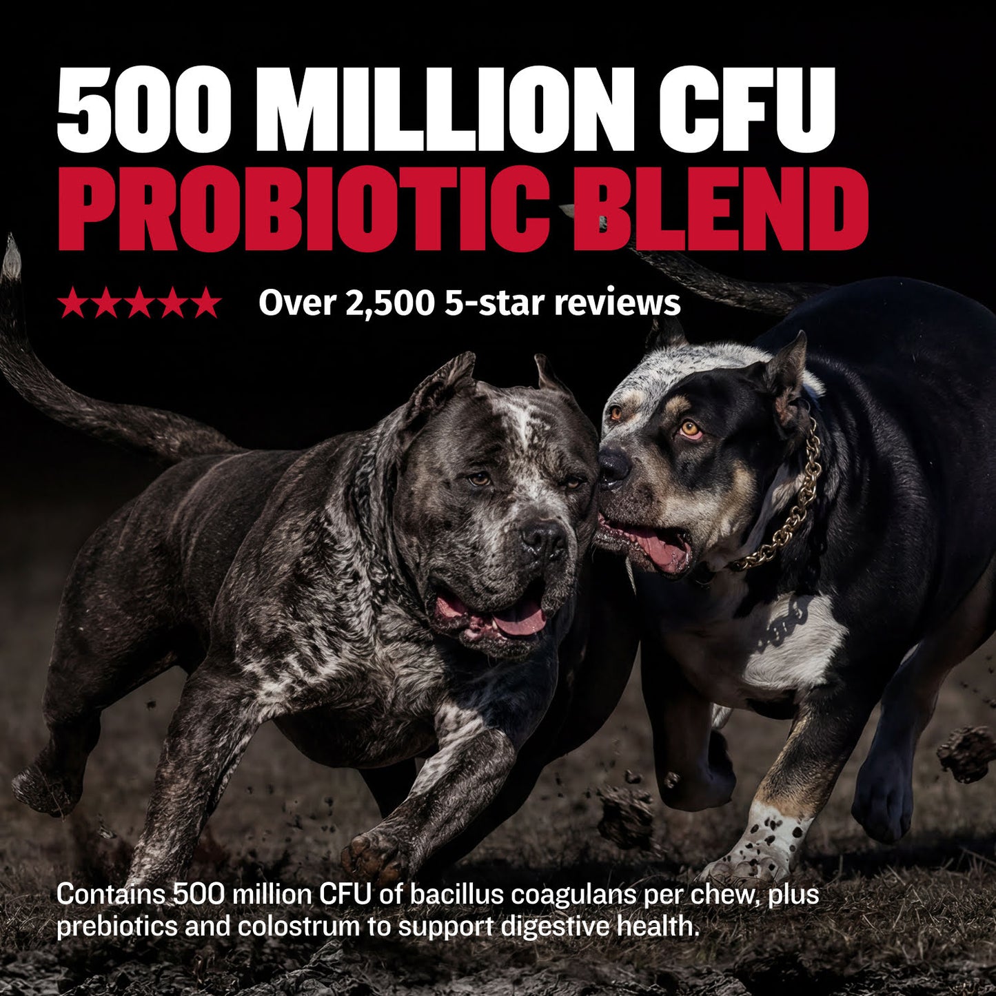 Bully Max Vitality Chews for Allergies, Joints, & Daily Vitamins