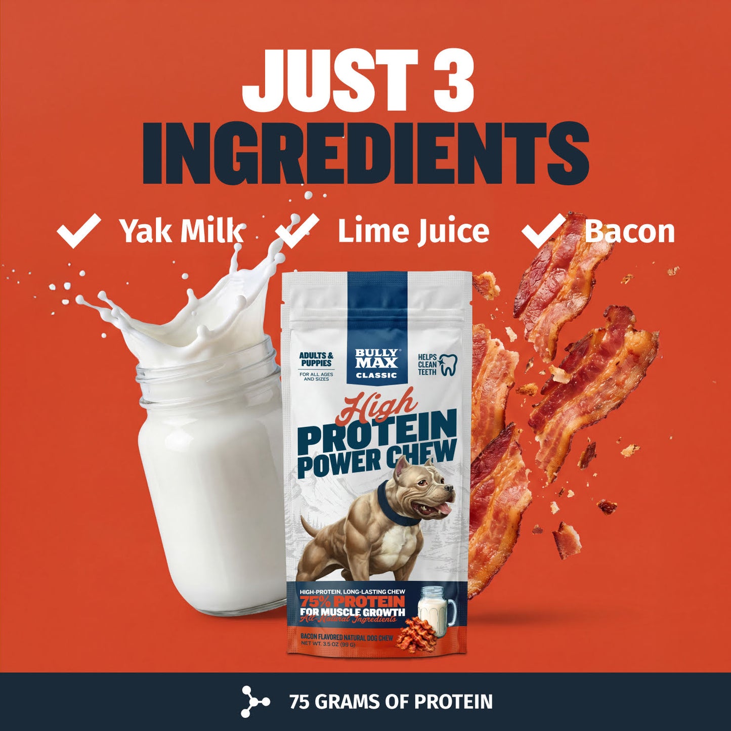 High Protein Power Chew - Bacon