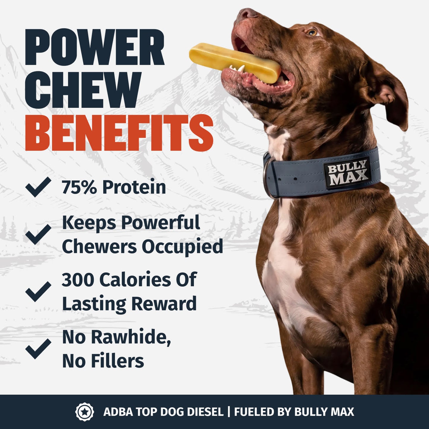 High Protein Power Chew - Bacon