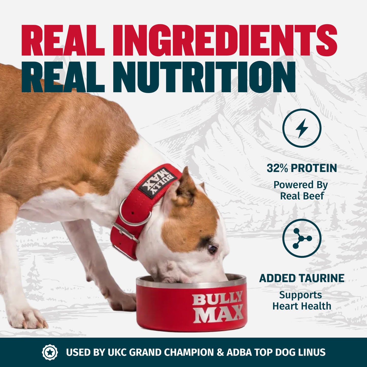 Bully Max Freeze-Dried Raw Dog Food Toppers Beef Flavor