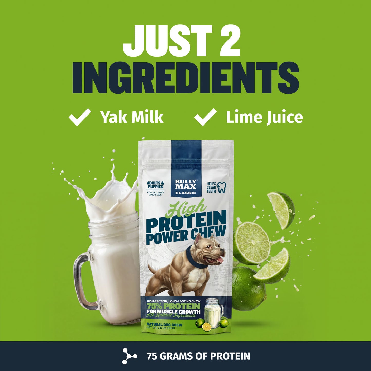 High Protein Power Chew