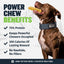 High Protein Power Chew