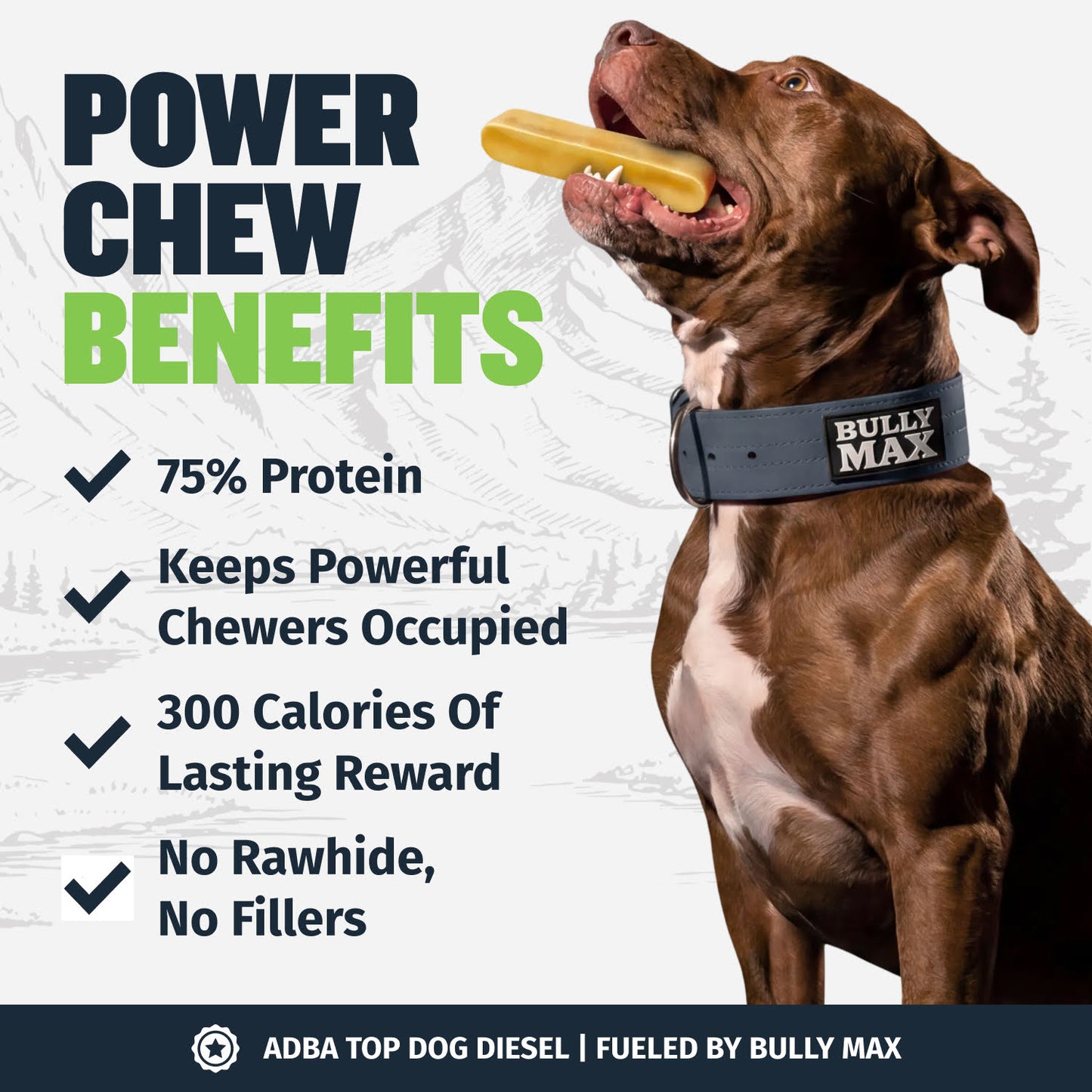 High Protein Power Chew