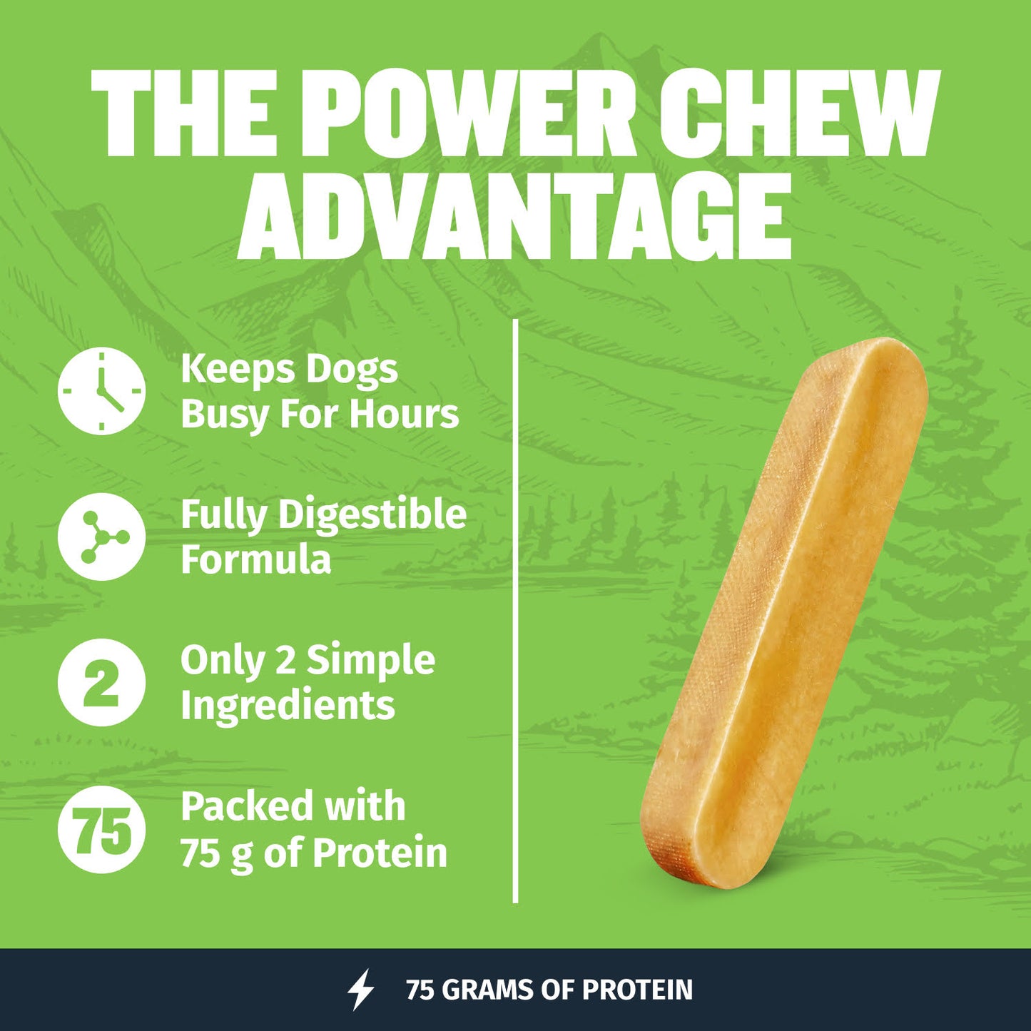 High Protein Power Chew