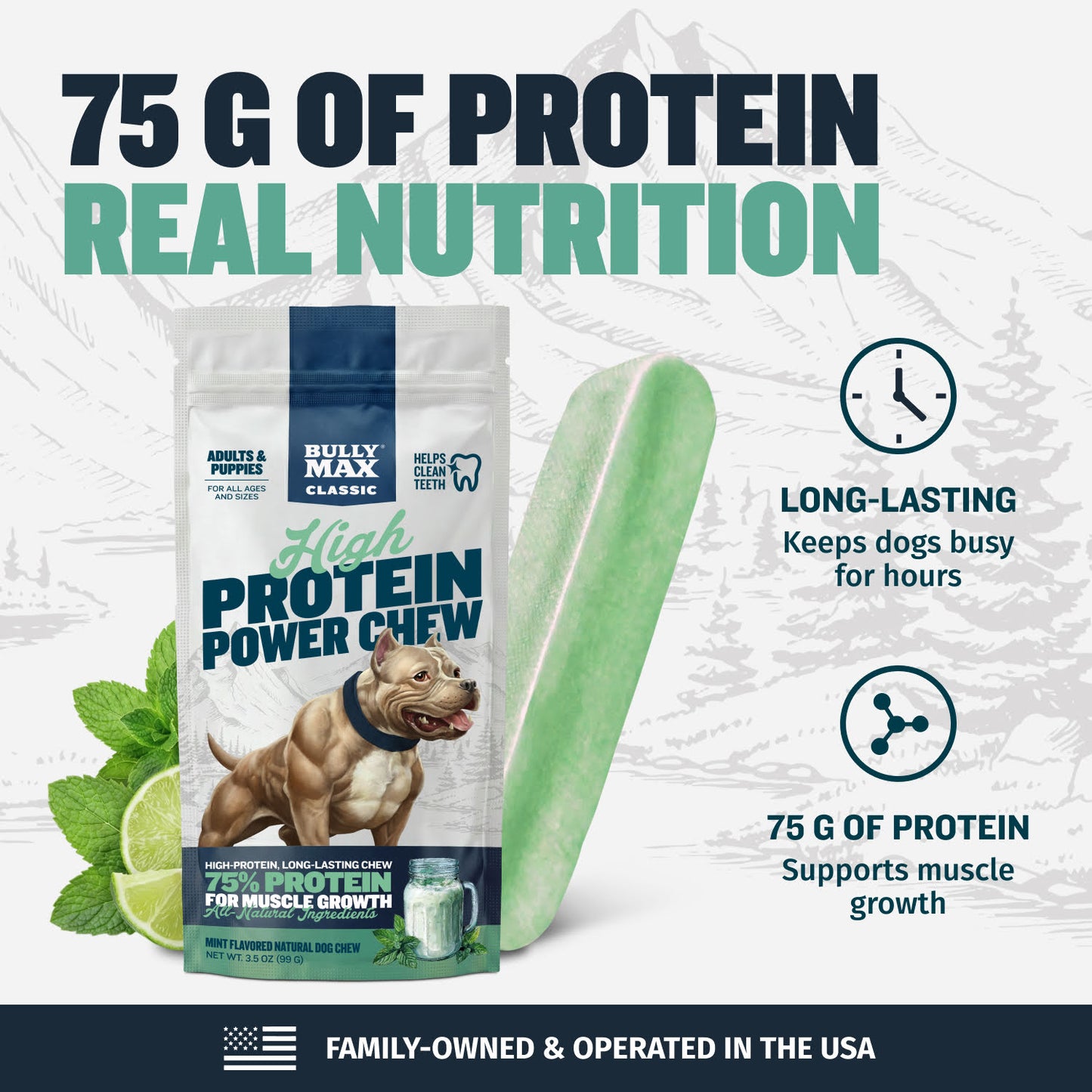 High Protein Power Chew - Mint