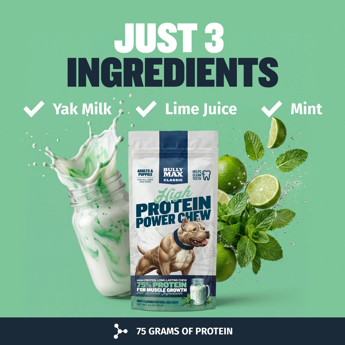 High Protein Power Chew - Mint