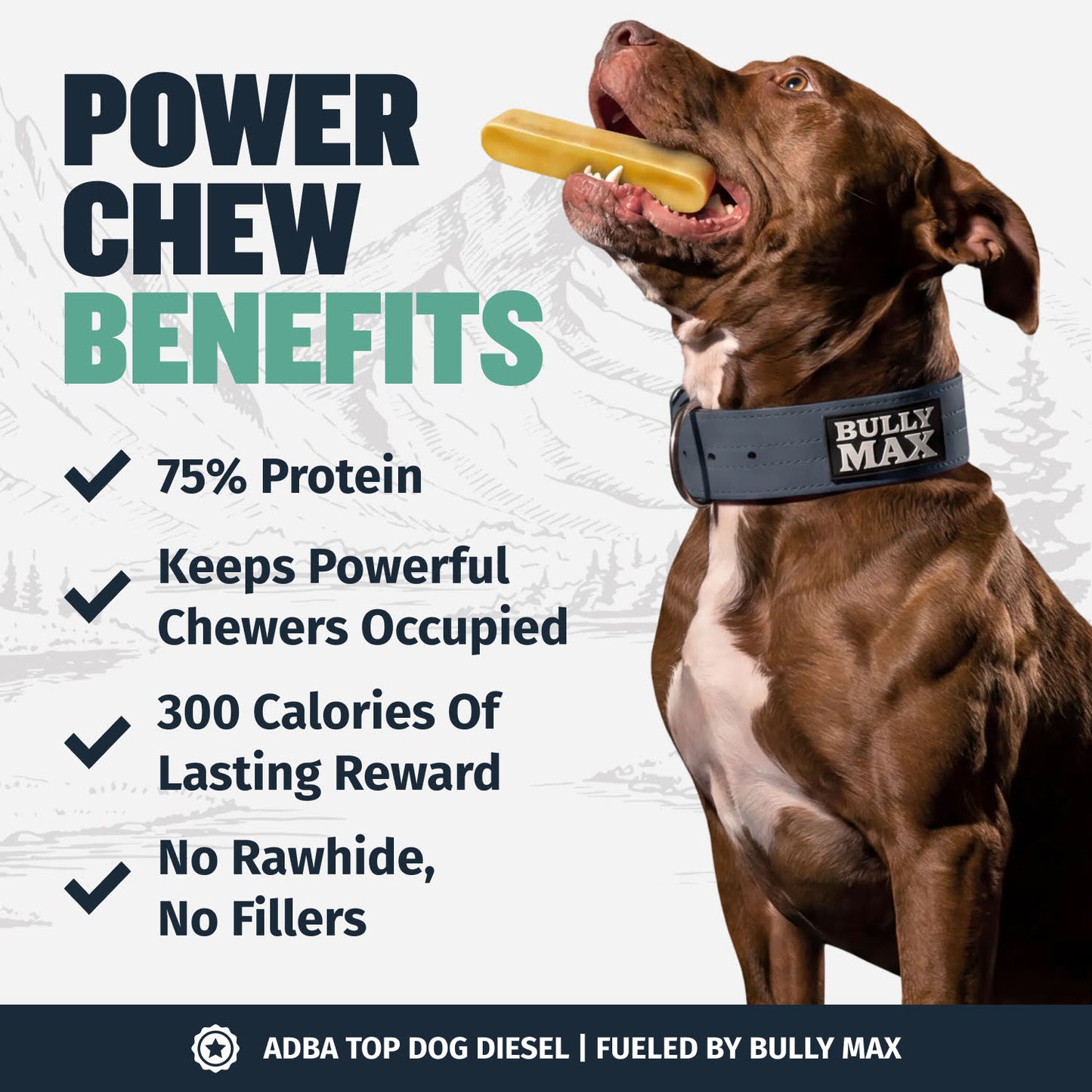 High Protein Power Chew - Mint