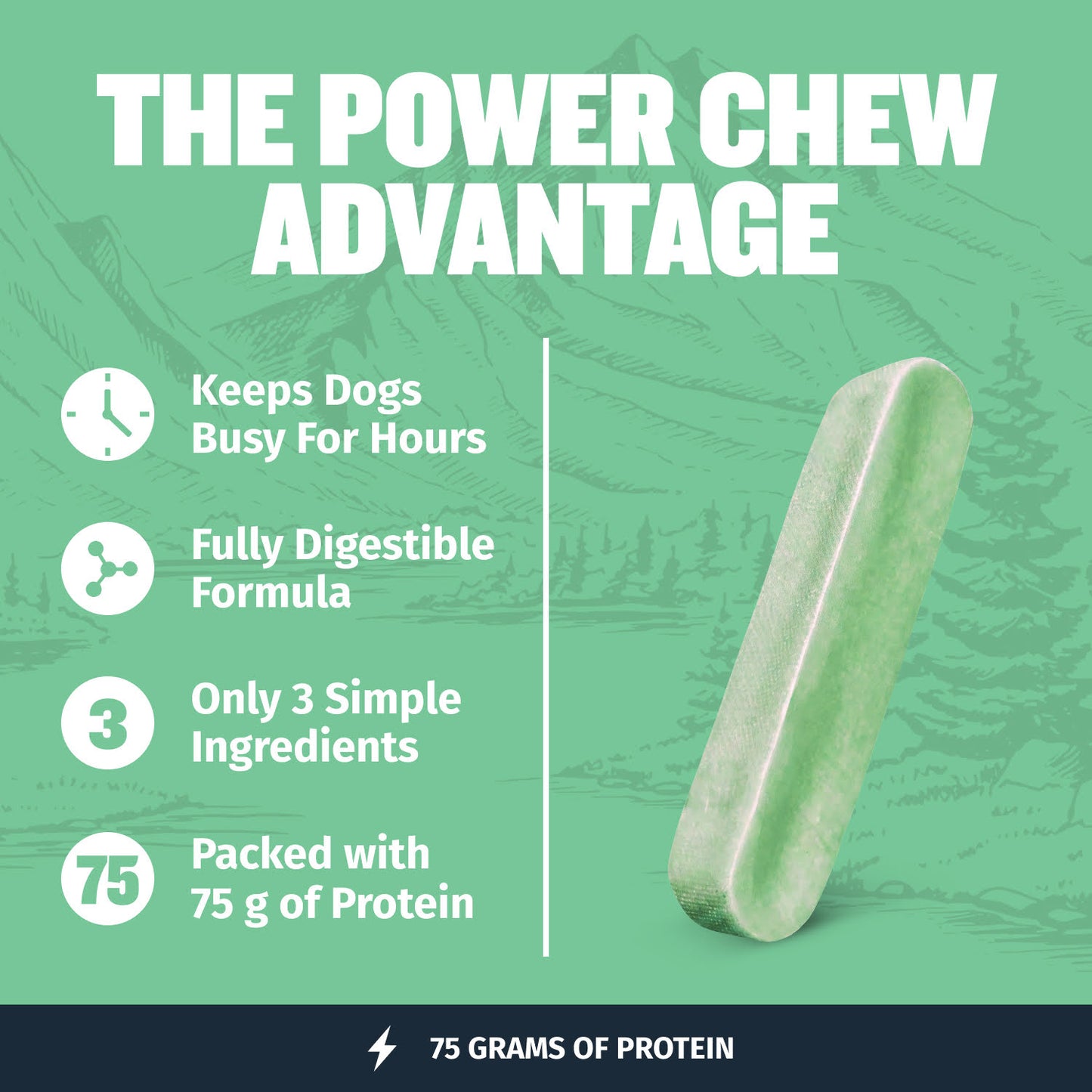 High Protein Power Chew - Mint