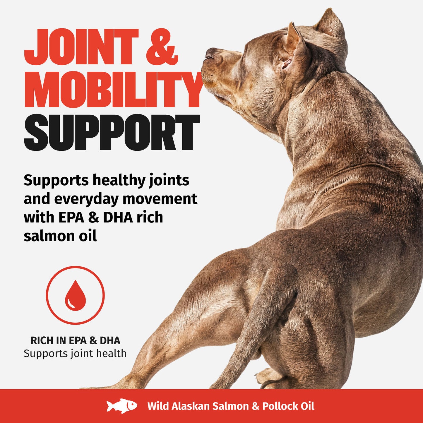 Bully Max Omega-3 Salmon Oil