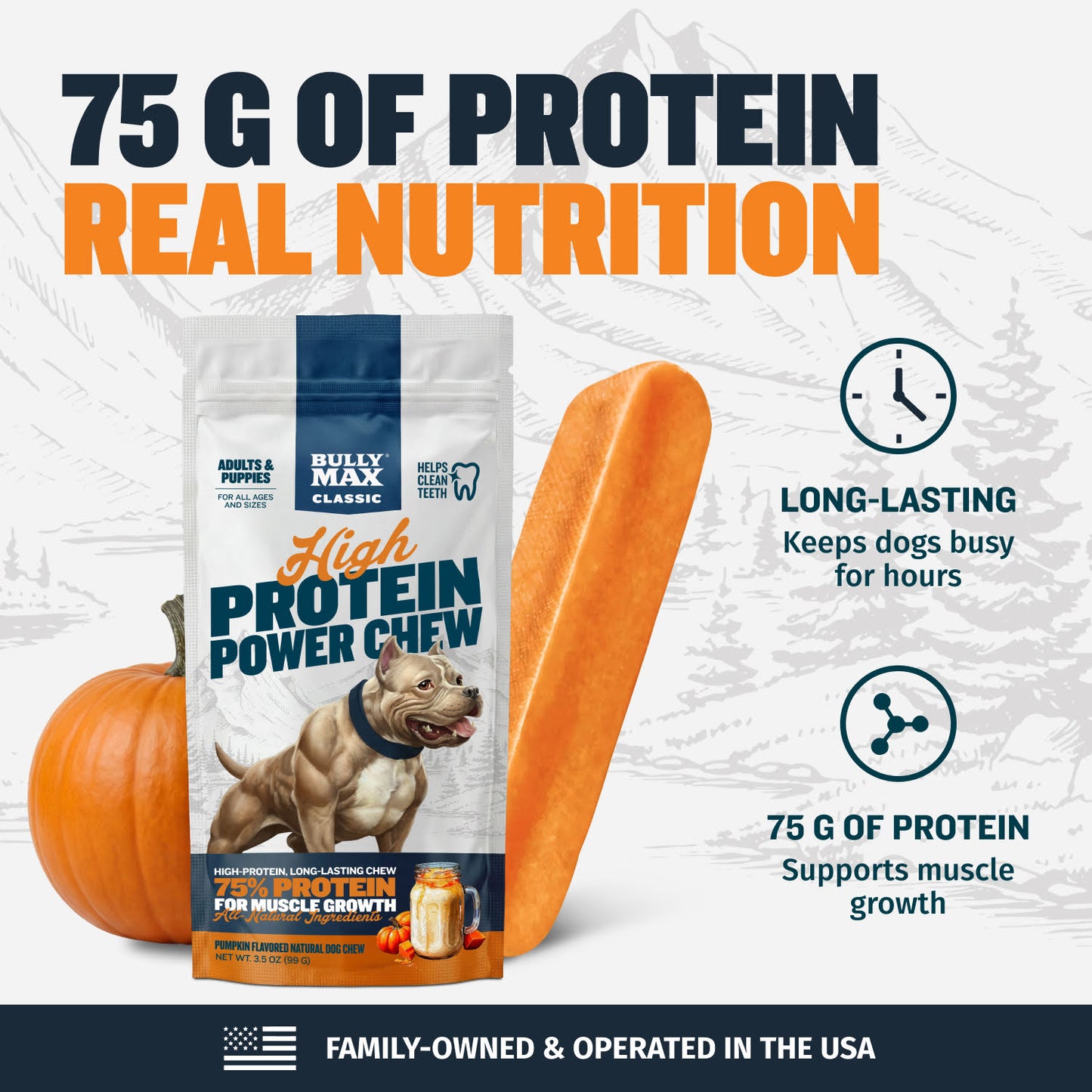 High Protein Power Chew - Pumpkin