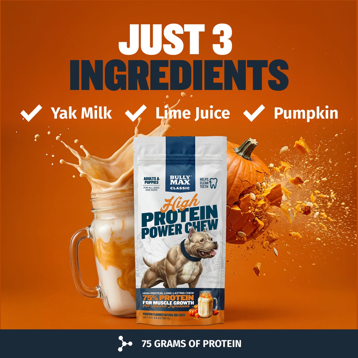 High Protein Power Chew - Pumpkin