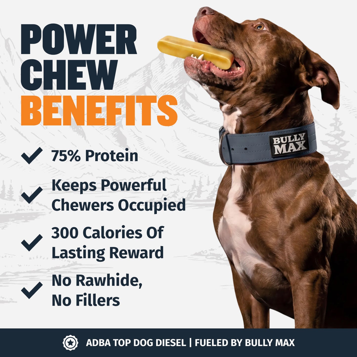 High Protein Power Chew - Pumpkin