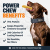 High Protein Power Chew - Pumpkin