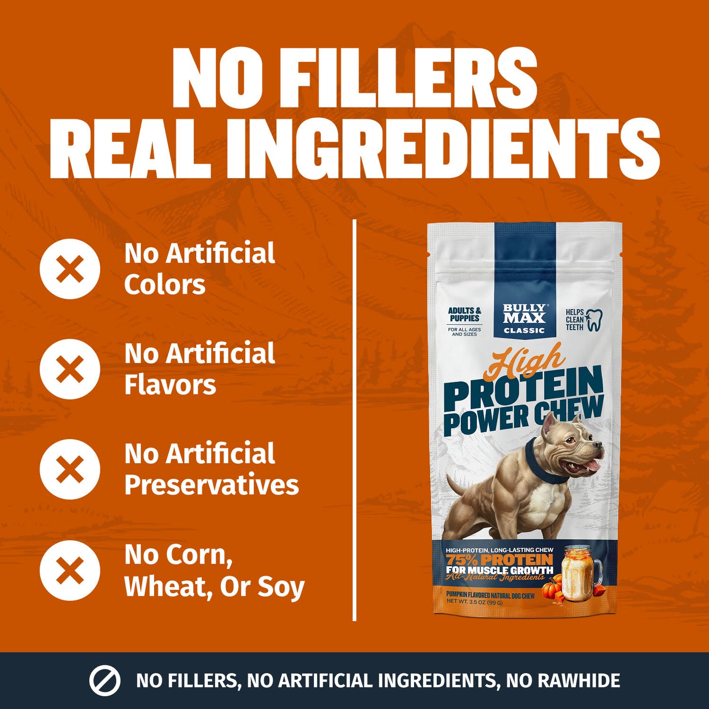 High Protein Power Chew - Pumpkin