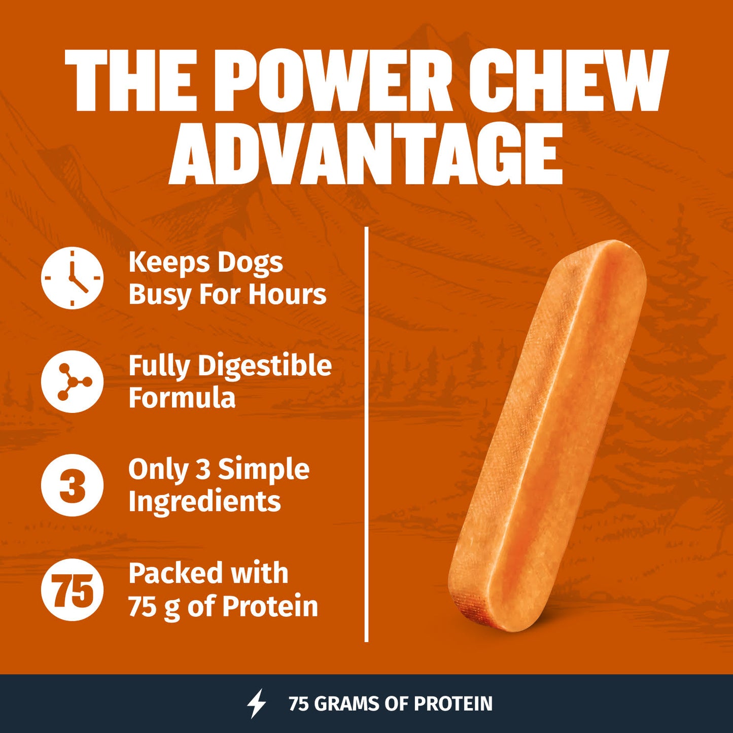 High Protein Power Chew - Pumpkin