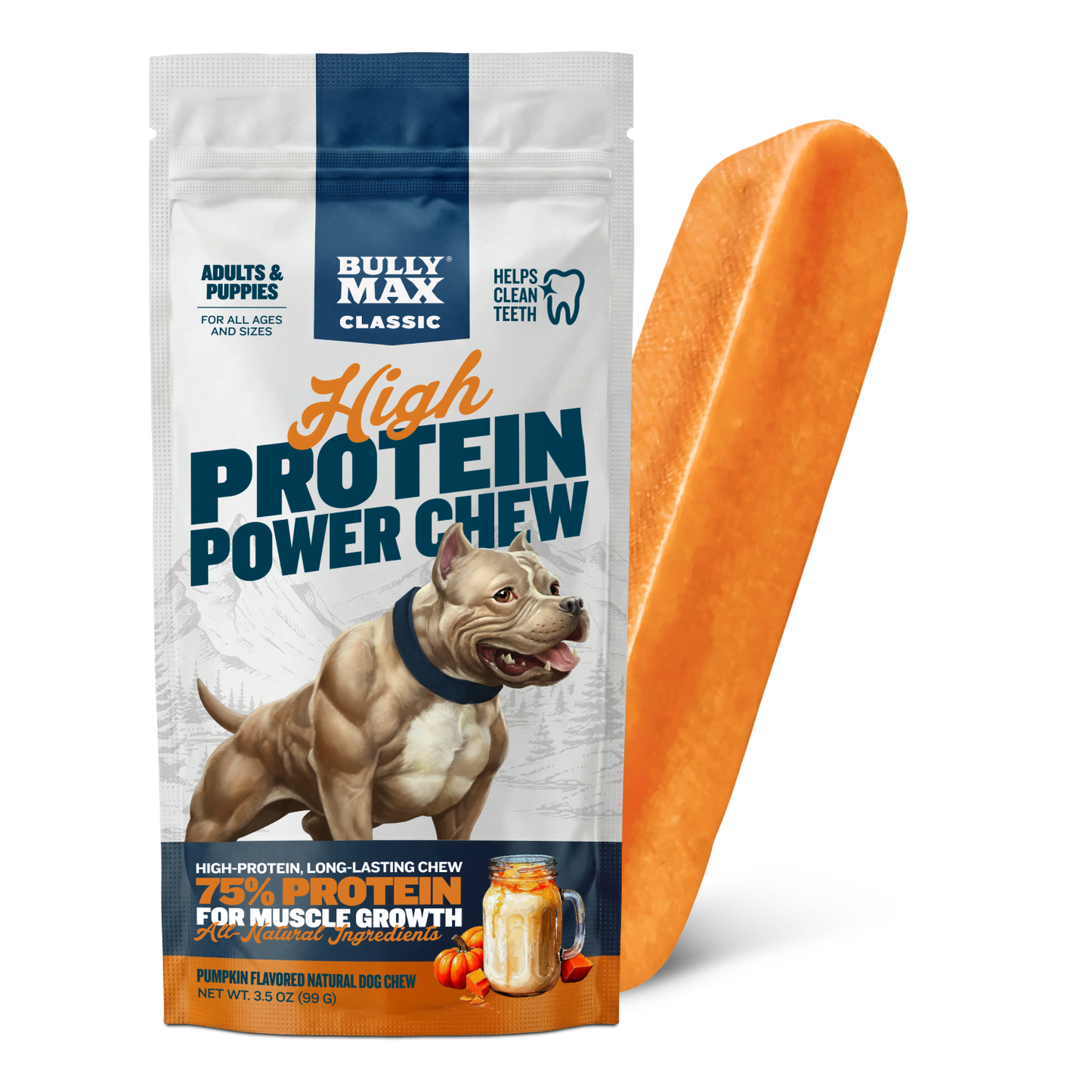 High Protein Power Chew - Pumpkin