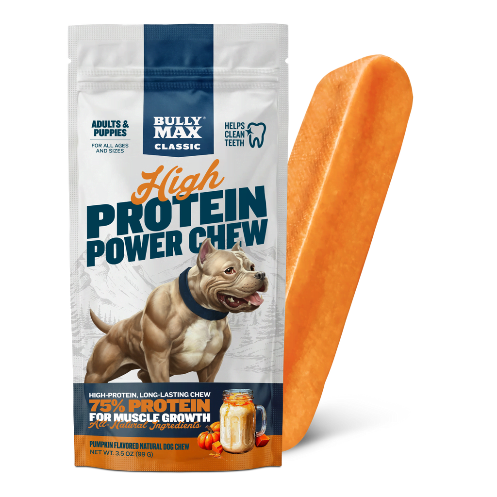 High Protein Power Chew - Pumpkin
