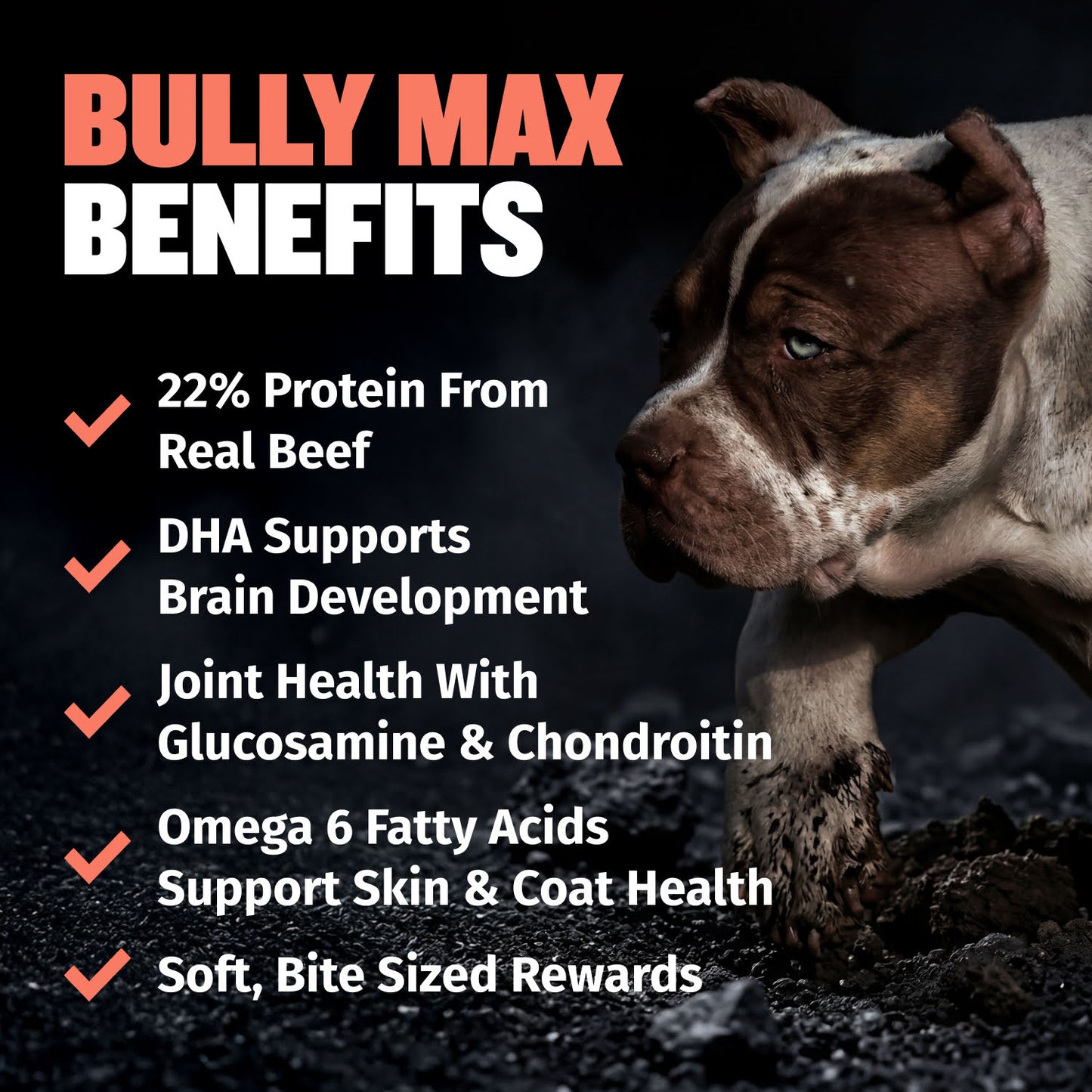 Bully Max Puppy Training Treats