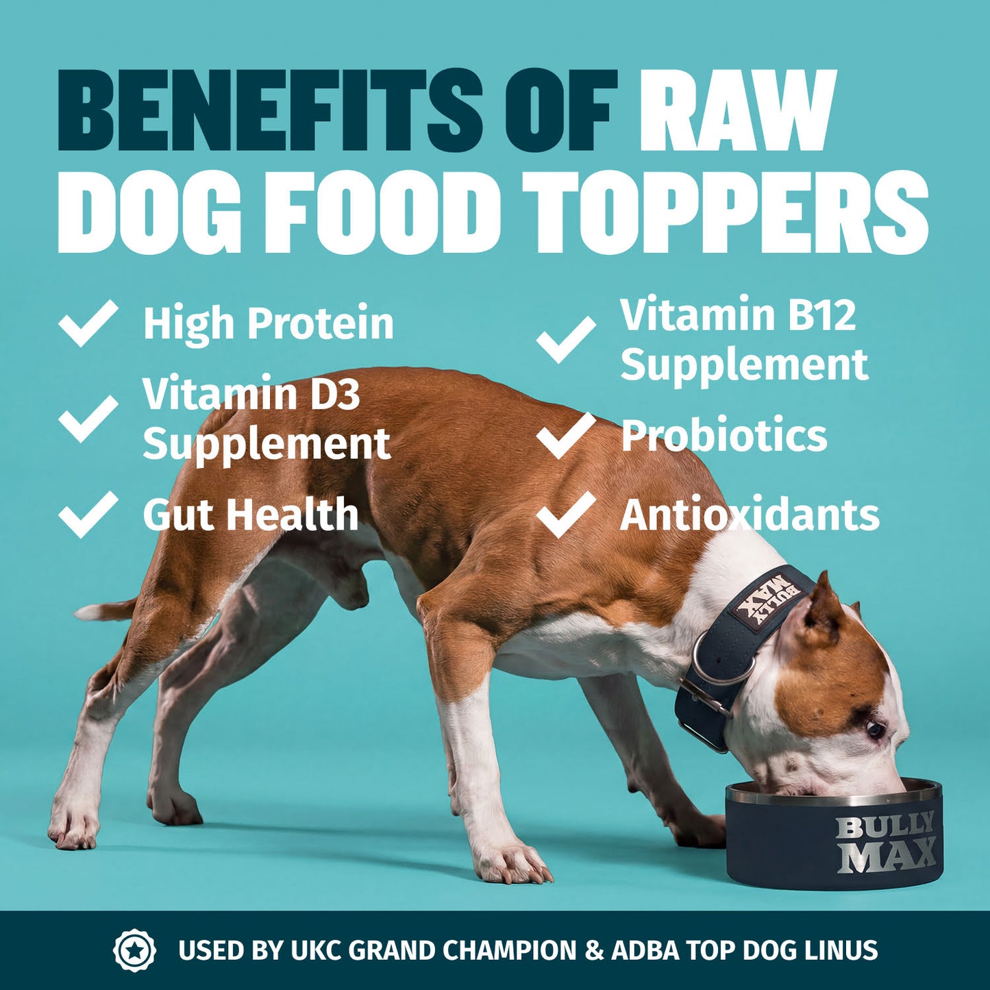 Bully Max Freeze-Dried Raw Dog Food Toppers Salmon Flavor