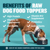 Bully Max Freeze-Dried Raw Dog Food Toppers Salmon Flavor
