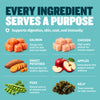 Bully Max Freeze-Dried Raw Dog Food Toppers Salmon Flavor