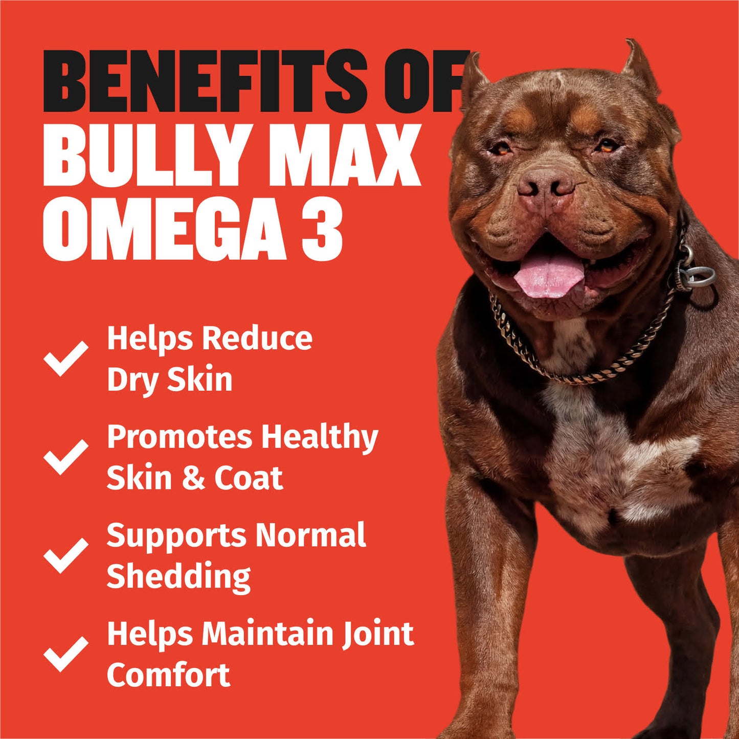Bully Max Omega-3 Salmon Oil