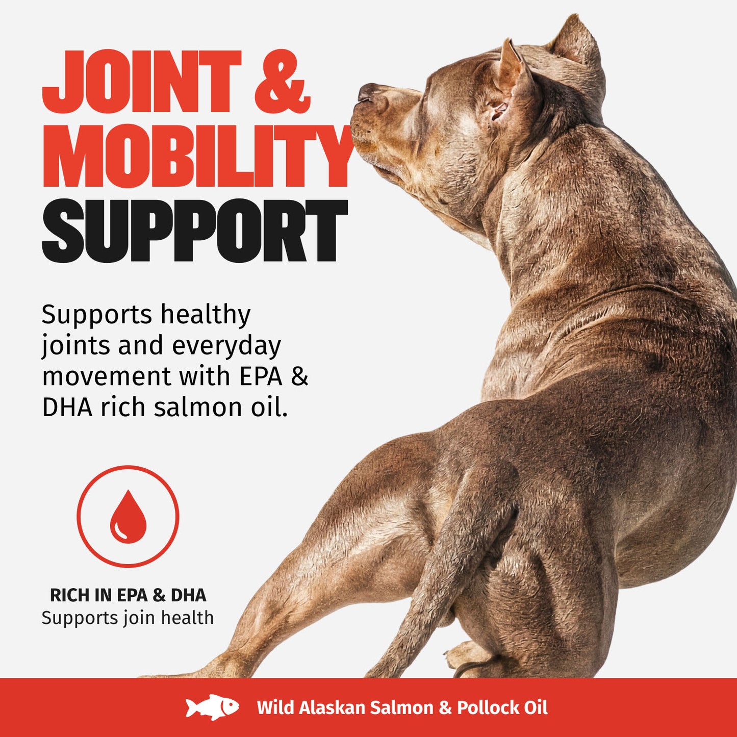Bully Max Omega-3 Salmon Oil