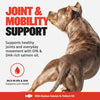 Bully Max Omega-3 Salmon Oil
