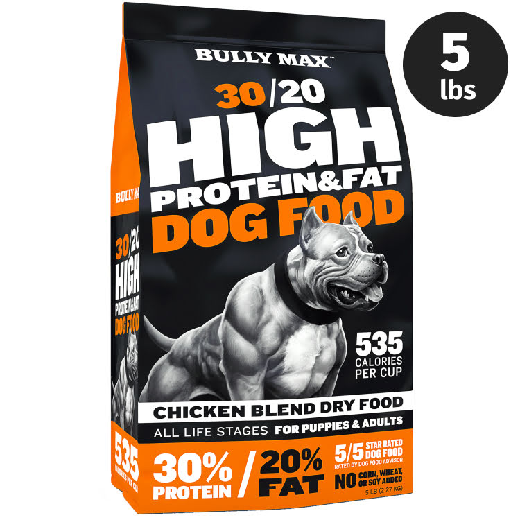 Stunning Benefits Of Feeding Cats High-Protein Dog Food image