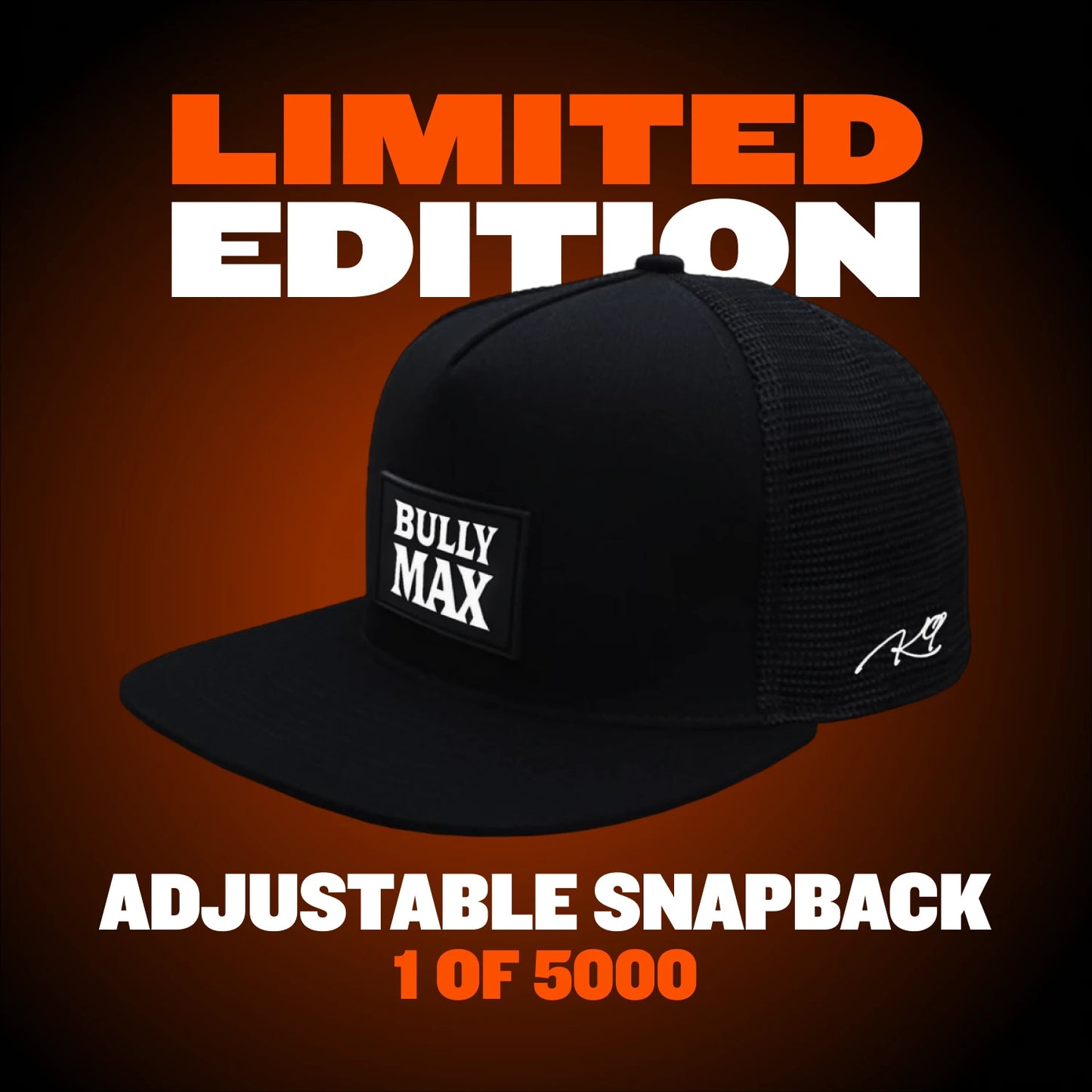 Bully online max beanie