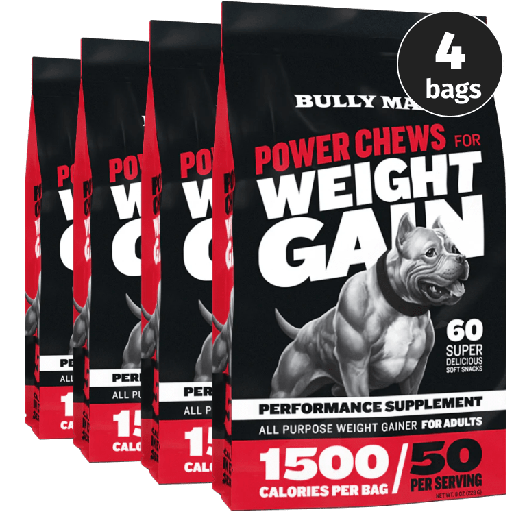 Weight Gain Supplement Chews with Probiotics for Dogs Bully Max