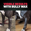 Bully Max Dog Food & Muscle Gain Tablet Bundle (15 lbs)