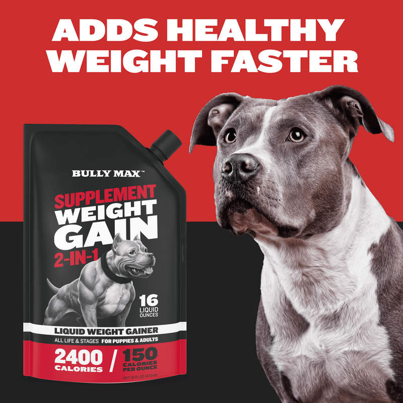 Weight Gainer for Dogs Bully Max Dog Supplement for Weight Gain