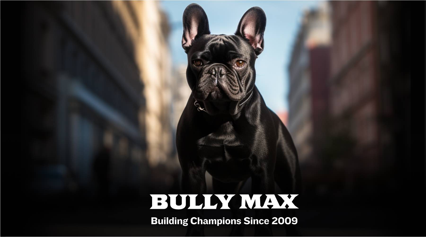 can french bulldogs take bully max?