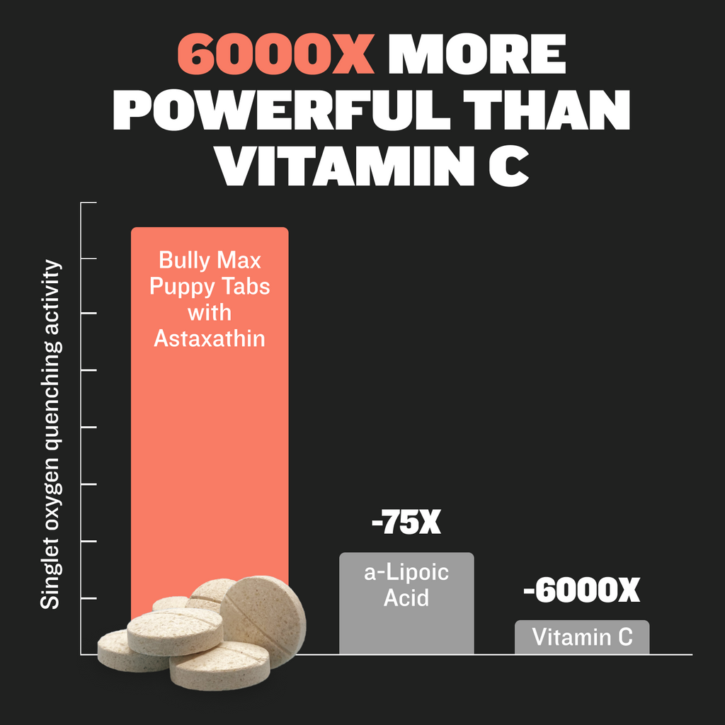 Puppy Wet Food, Dry Food, & Supplements Bundle 40 lbs dry + 5.5 lbs