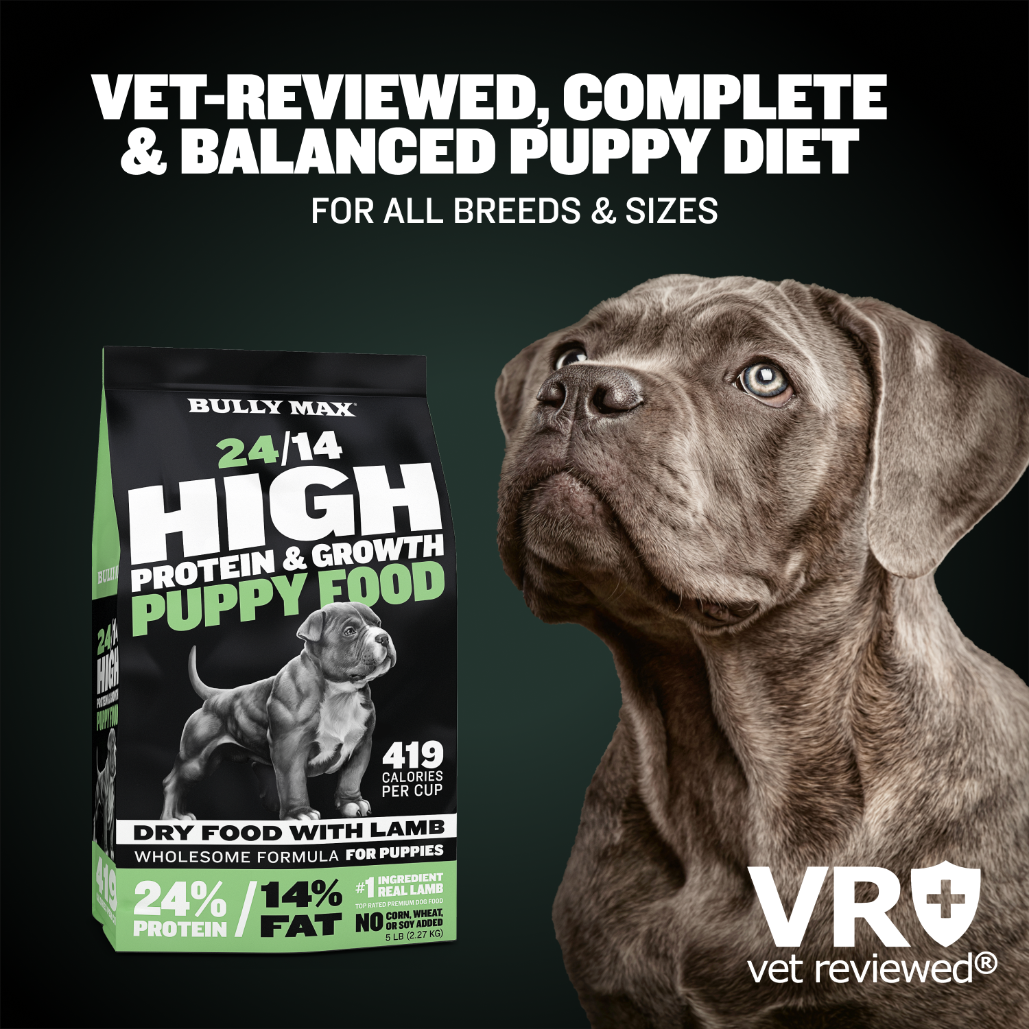 Bully max dog sales food near me