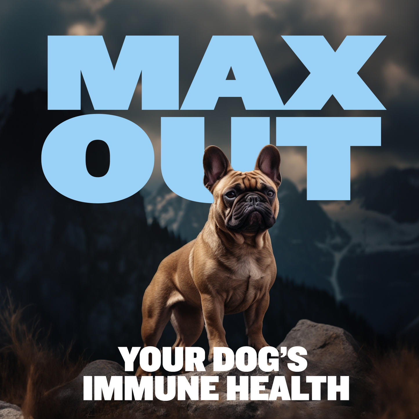 Small Breed Tabs for Immune Support