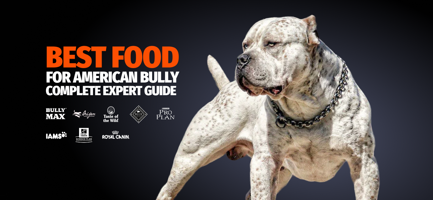 Best Dog Food for American Bullies (2025): Complete Expert Guide ...