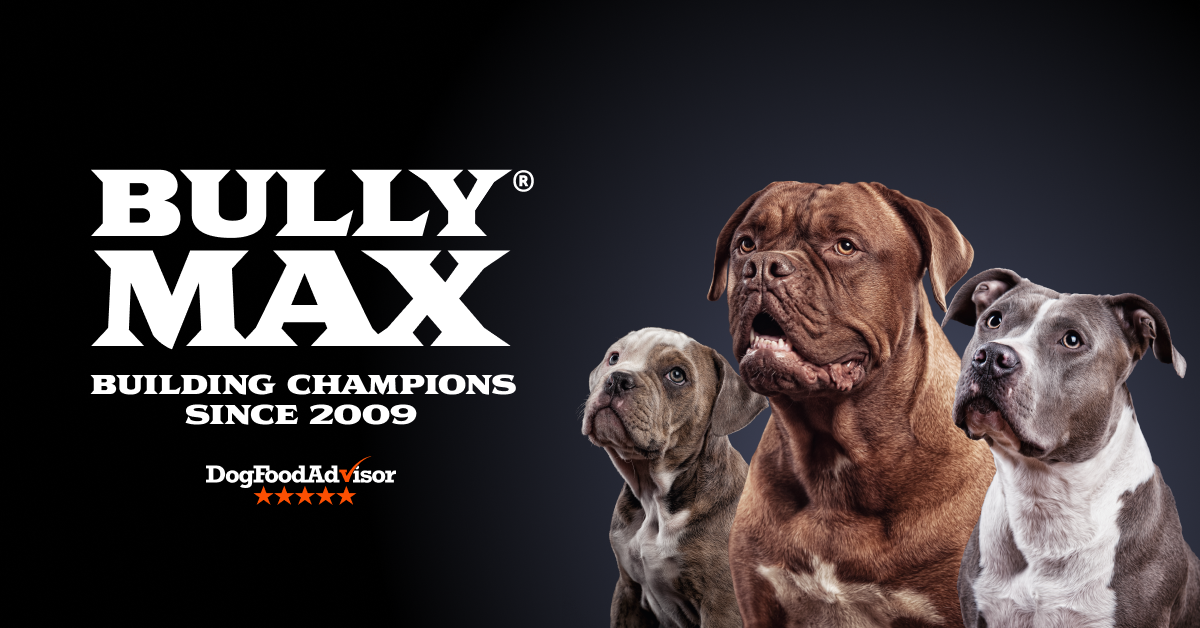 Bully max near me outlet