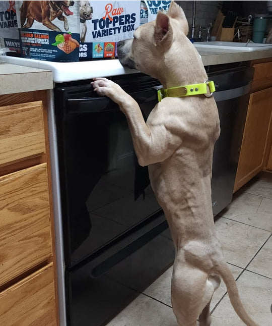 slide image in a carousel