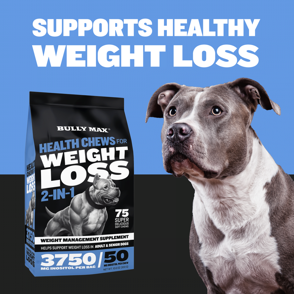 Bully Max 2in1 Health Chews for Weight Loss Bully Max
