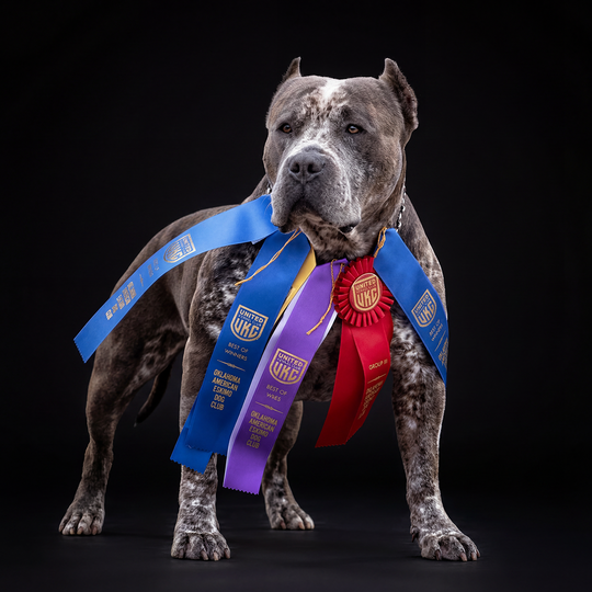 slide image in a carousel