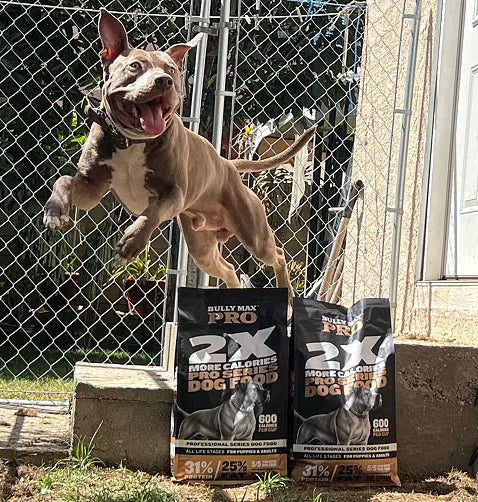 slide image in a carousel