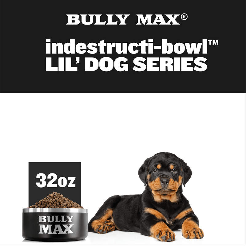 Heavy Duty Steel Dog Bowl Little Dog Bowl (32oz)