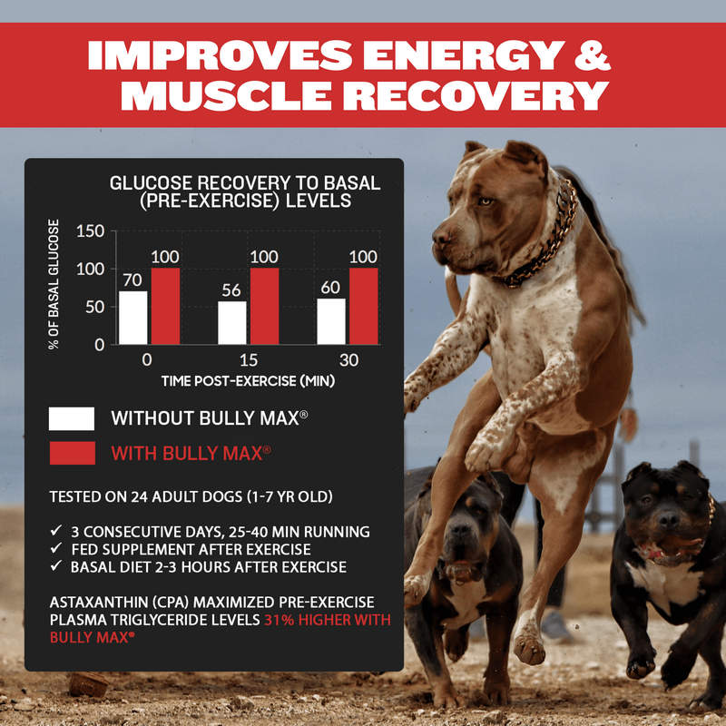 Bully Max liquid muscle building supplement for dogs 1rated brand